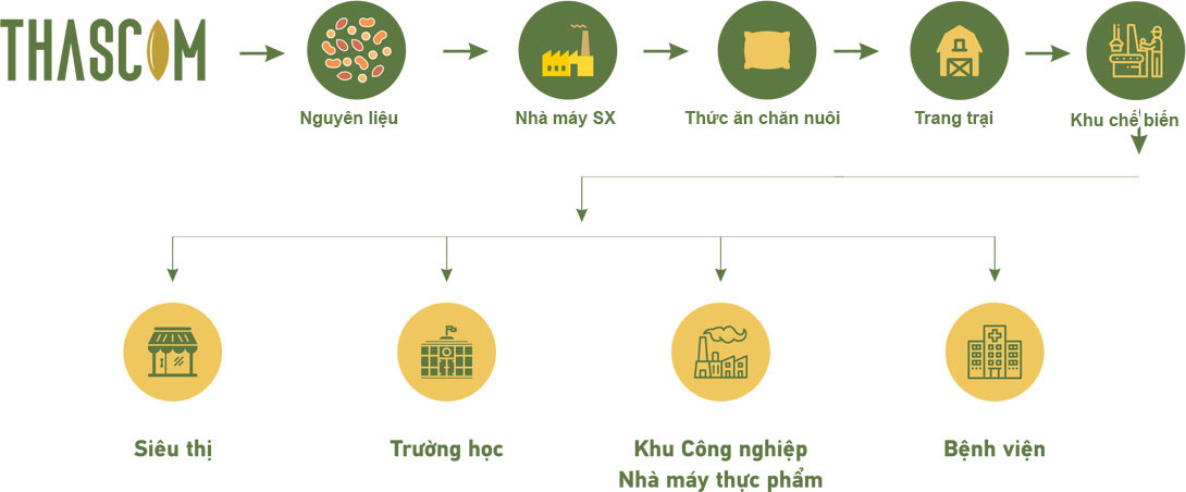 Mô hình kinh doanh tại Thascom